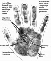 Palmistry-Hands-Charts-002 1